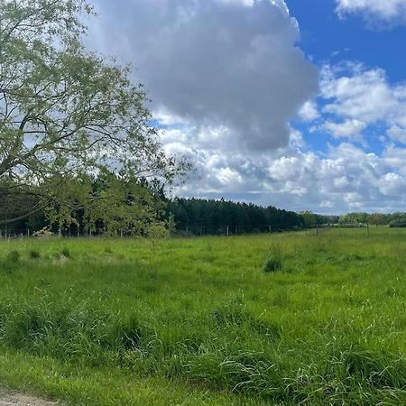 Gite Le Village Des Champs Soings-en-Sologne Eksteriør billede