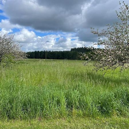 Gite Le Village Des Champs Soings-en-Sologne Eksteriør billede