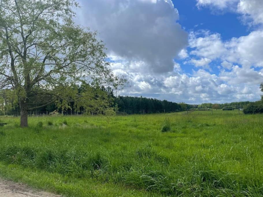 Gite Le Village Des Champs Soings-en-Sologne Eksteriør billede