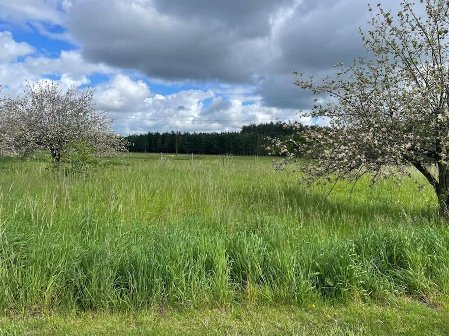 Gite Le Village Des Champs Soings-en-Sologne Eksteriør billede